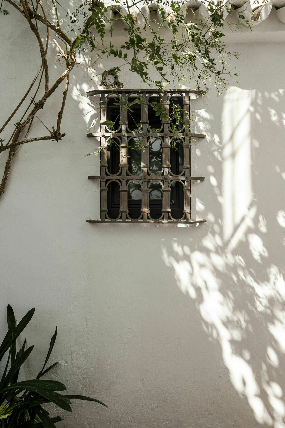 Selecta Apartments Los Venerables Sevilla Exterior foto